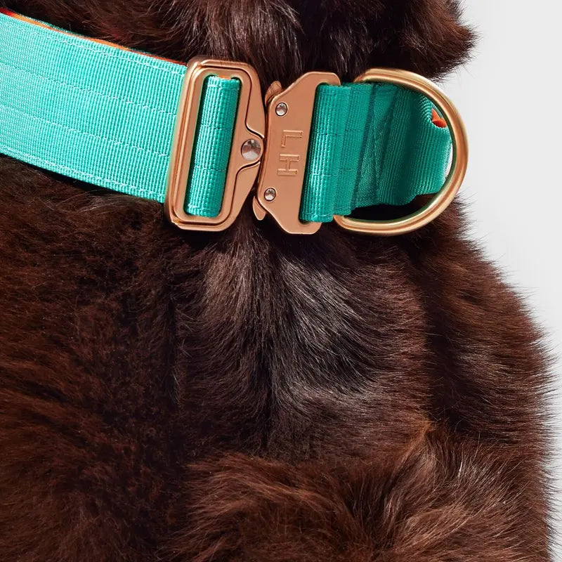 Wide v thin collars